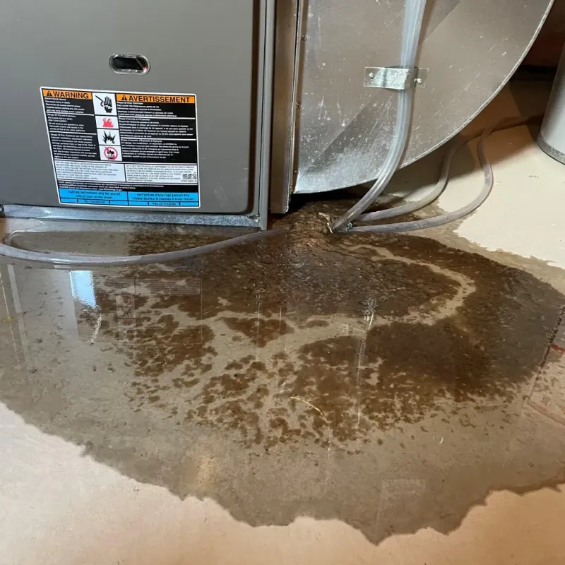 Appliance Leak Cleanup in Buffalo, WV