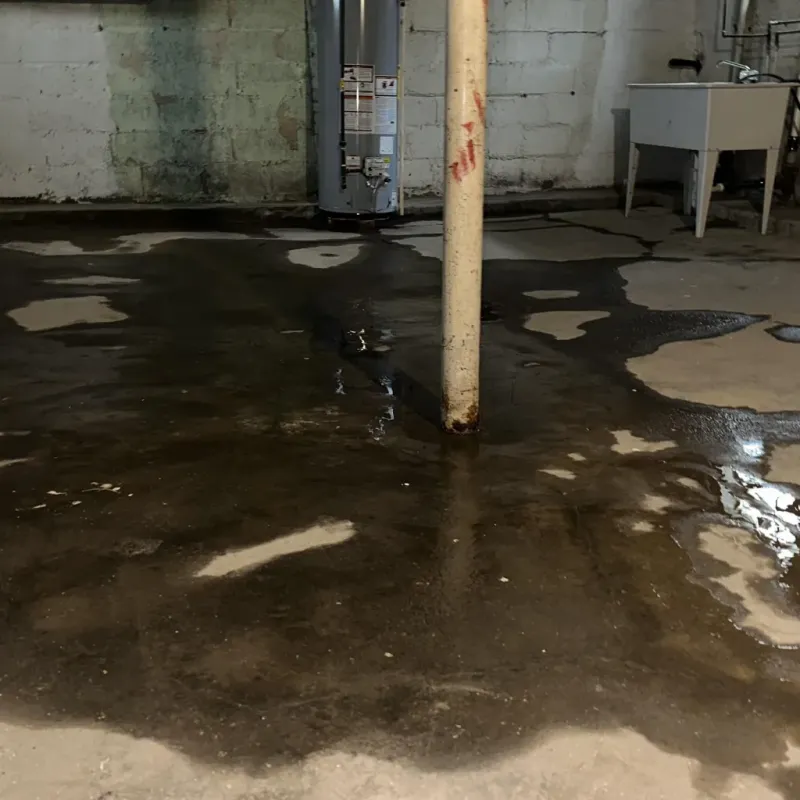 Emergency Water Extraction And Removal in Buffalo, WV